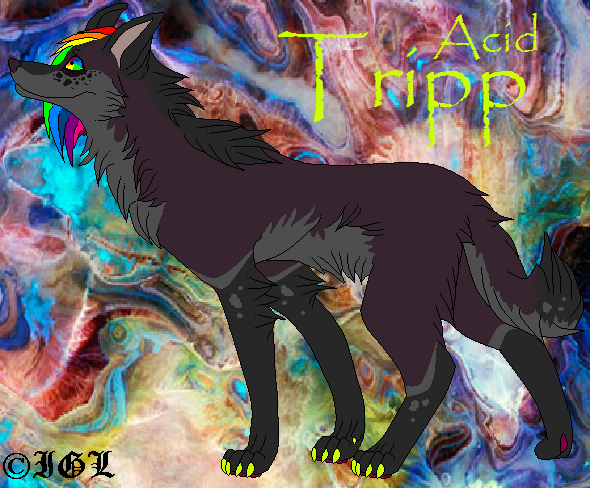 Acid Tripp