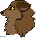 Balto Headshot