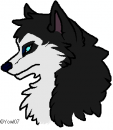 Steele Headshot
