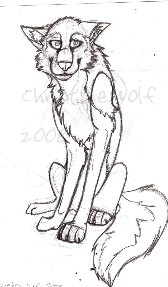 Balto Draft