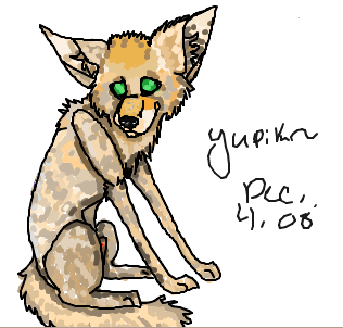 Fenec Fox