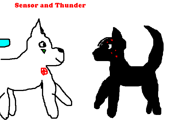 Sensor and Thunder