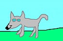 Random Dog
