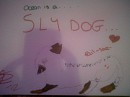 sly dogg~