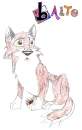 Balto as a puppy
