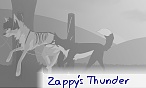 Zappy's Thunder