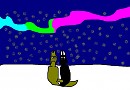 Nothern lights