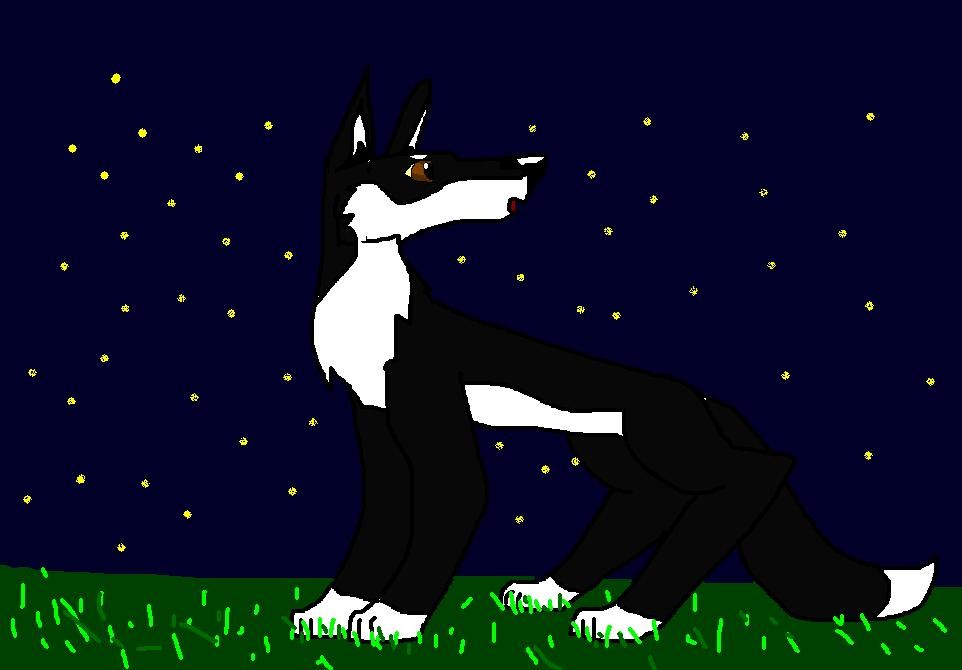 Stars