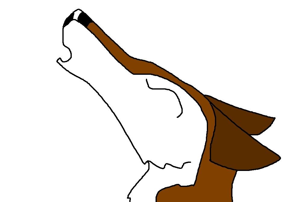 gift to...Aleu fans?