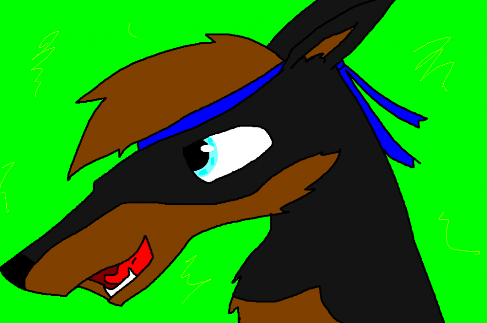 New char