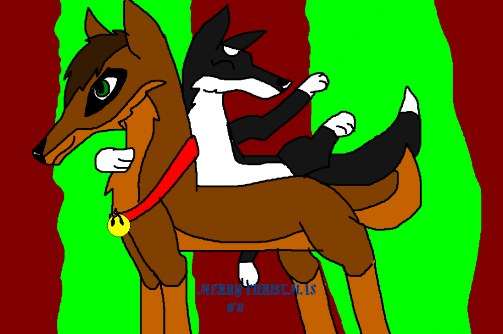 Zasha and Vixon