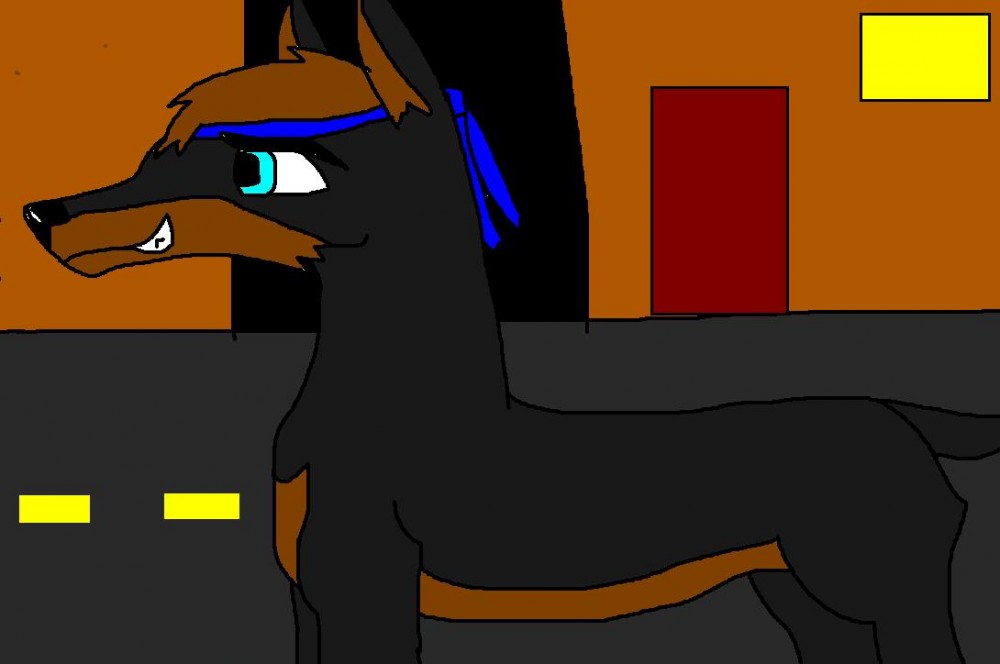 Doger again