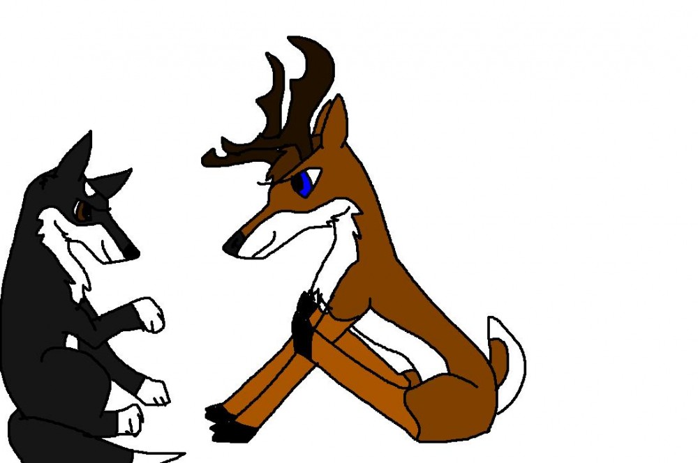 Zasha + Vixon