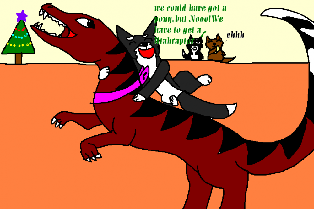 Not a pony...