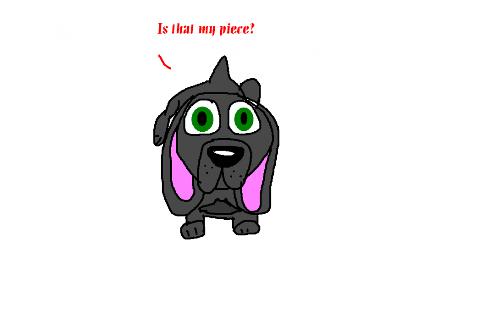 My dog