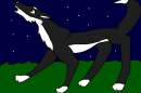 zasha howling