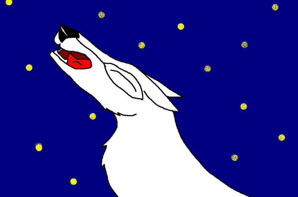 Aniu