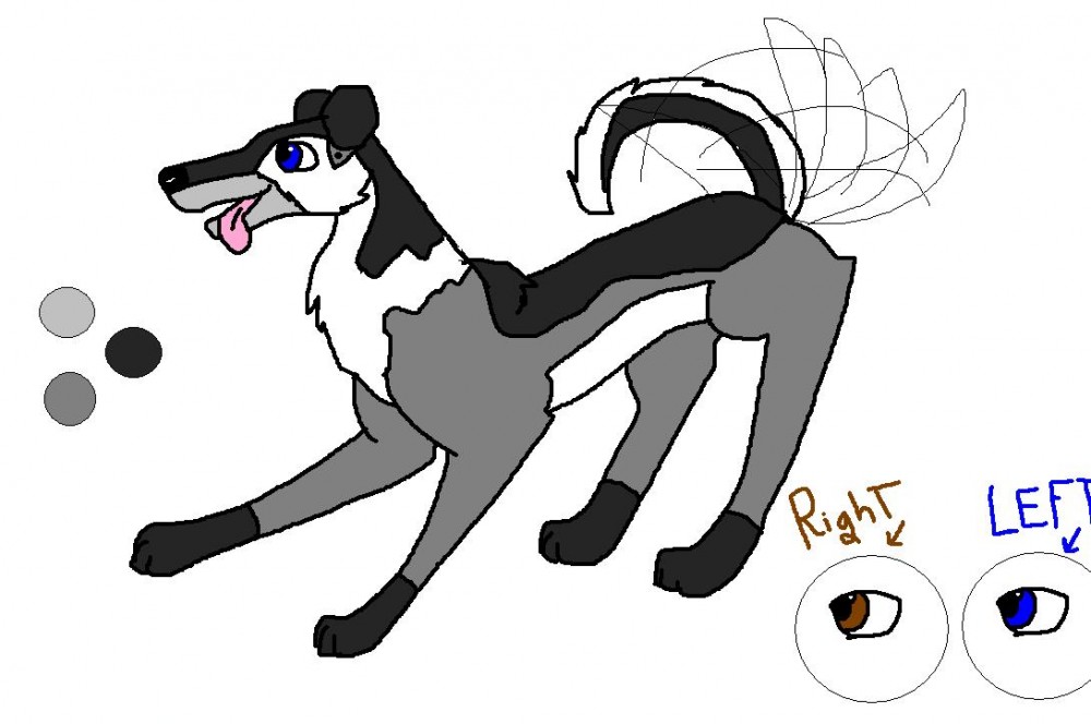 New char