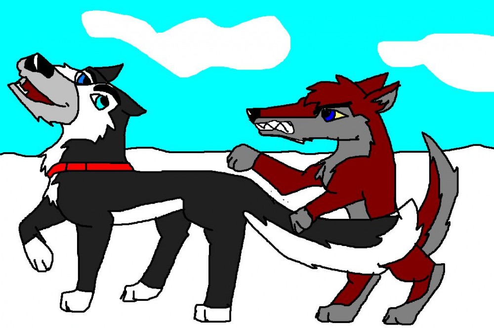 Badge and Zuko