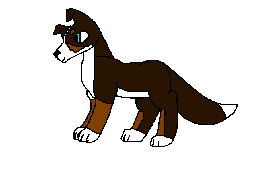 New puppeh