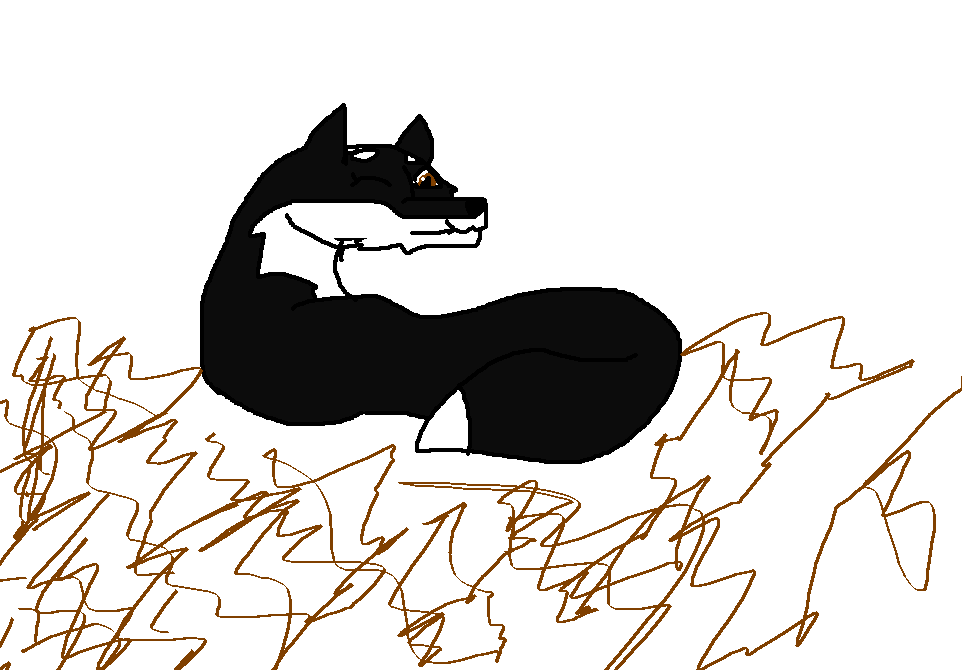 Scribble