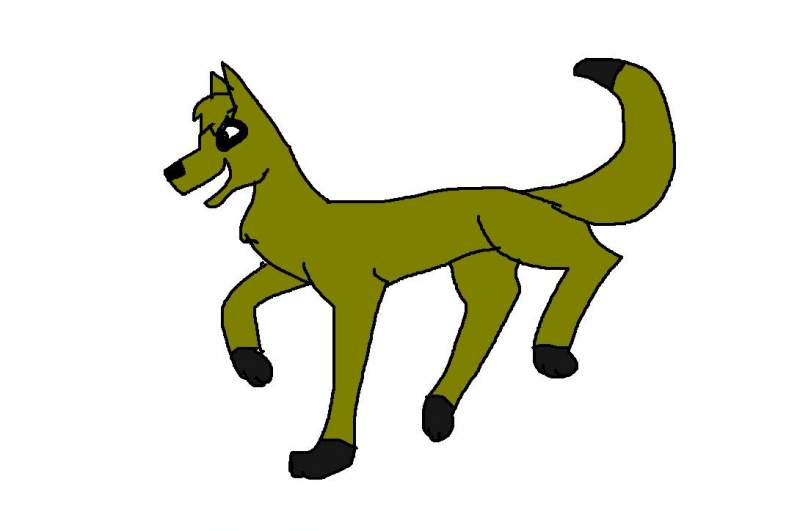 Bruno