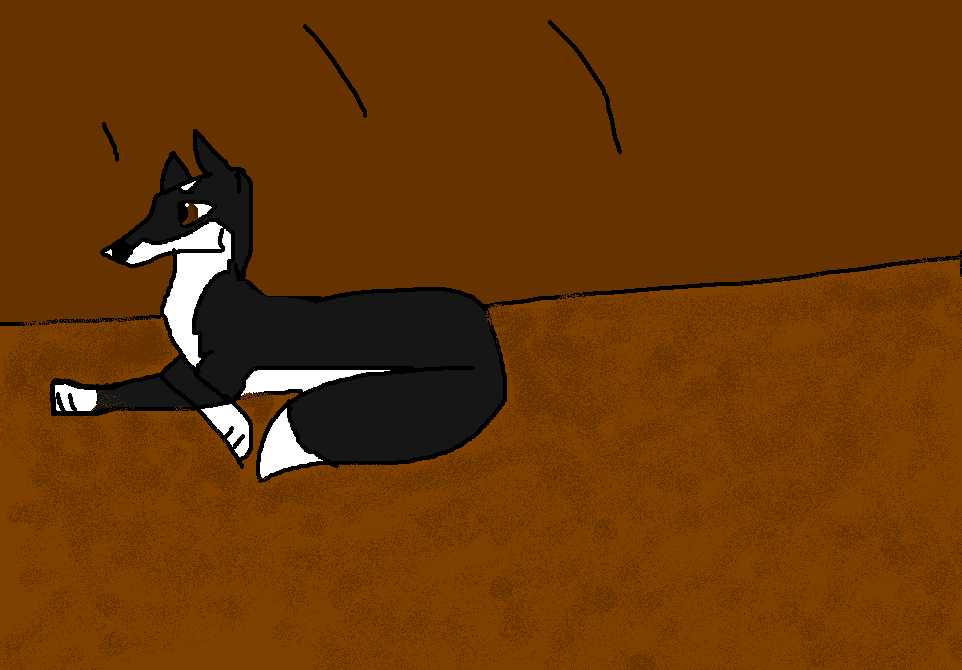 Zasha's den