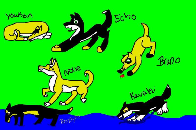 Zasha and Shade's PUPPIES XD