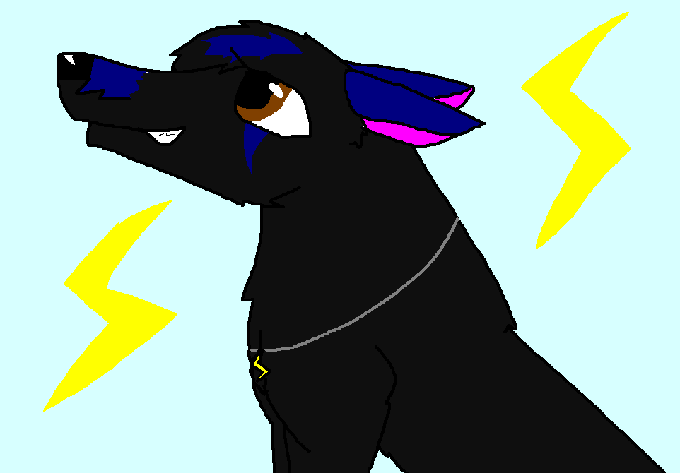 NEW FURZONA ZAPPY