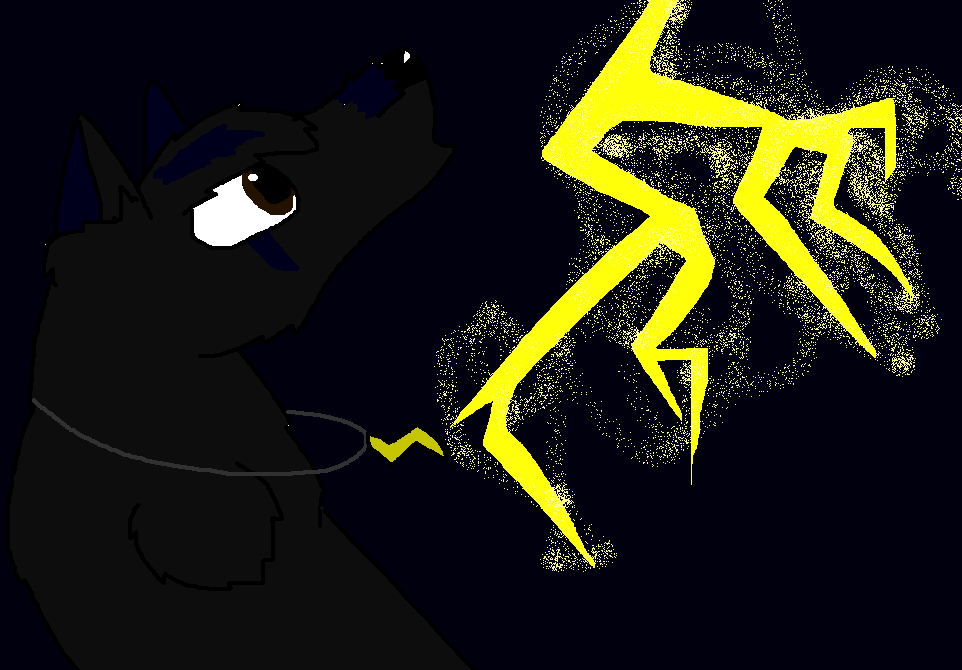 Zappy