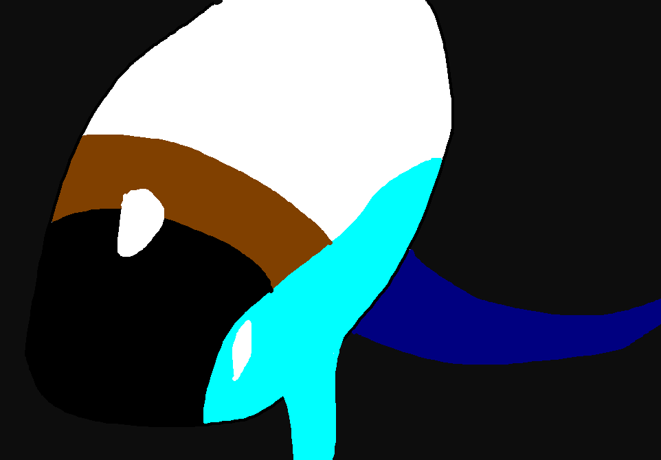 Eye