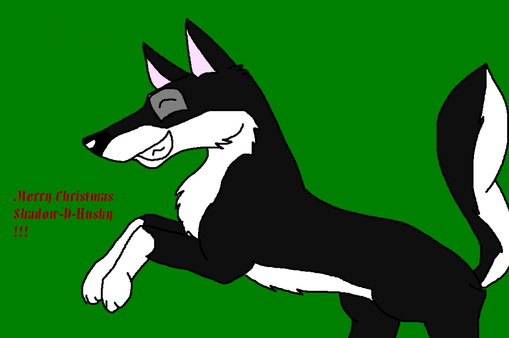 Merry Christmas Shadow