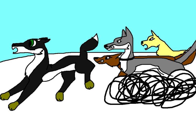 Echo being chased