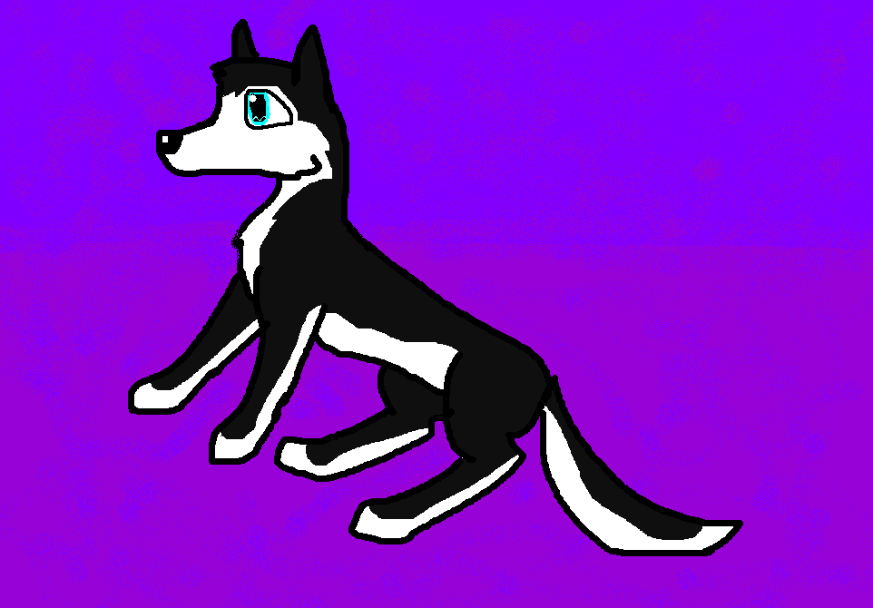 New char