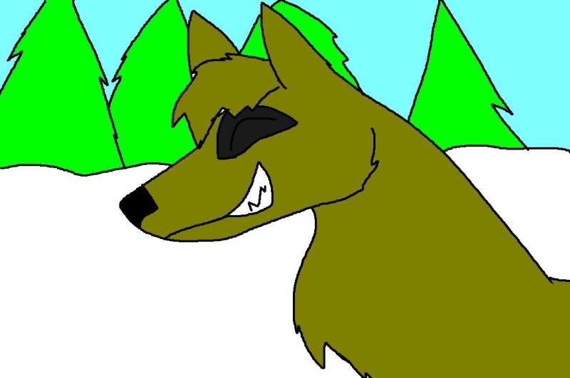 bruno again