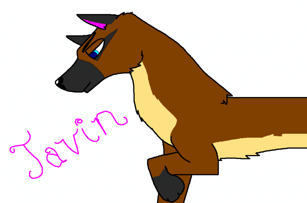 Javin