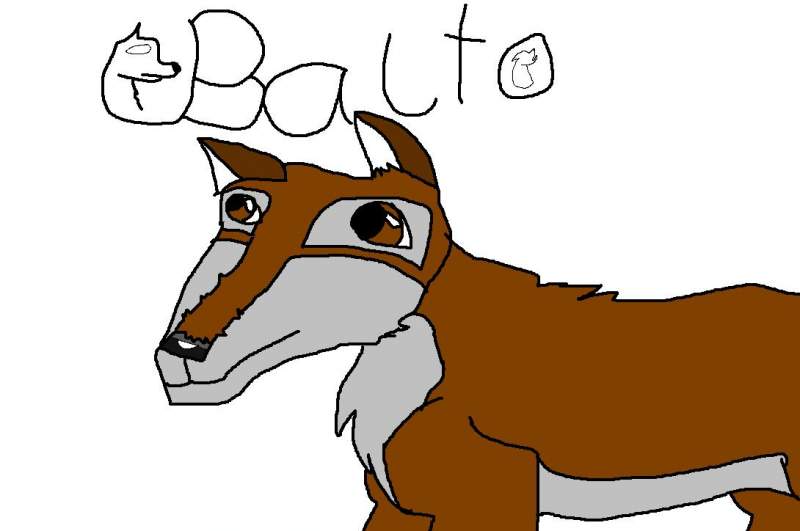 BALTO XD