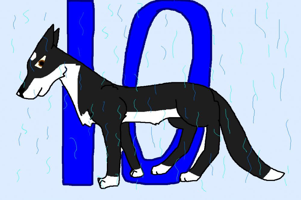 Zasha10
