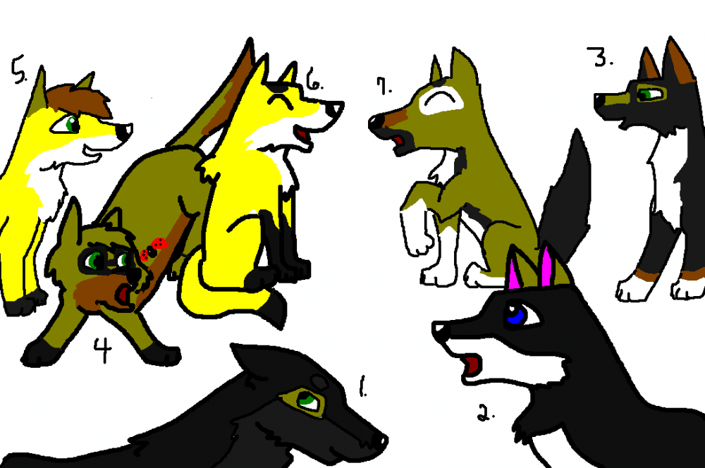 3rd litter