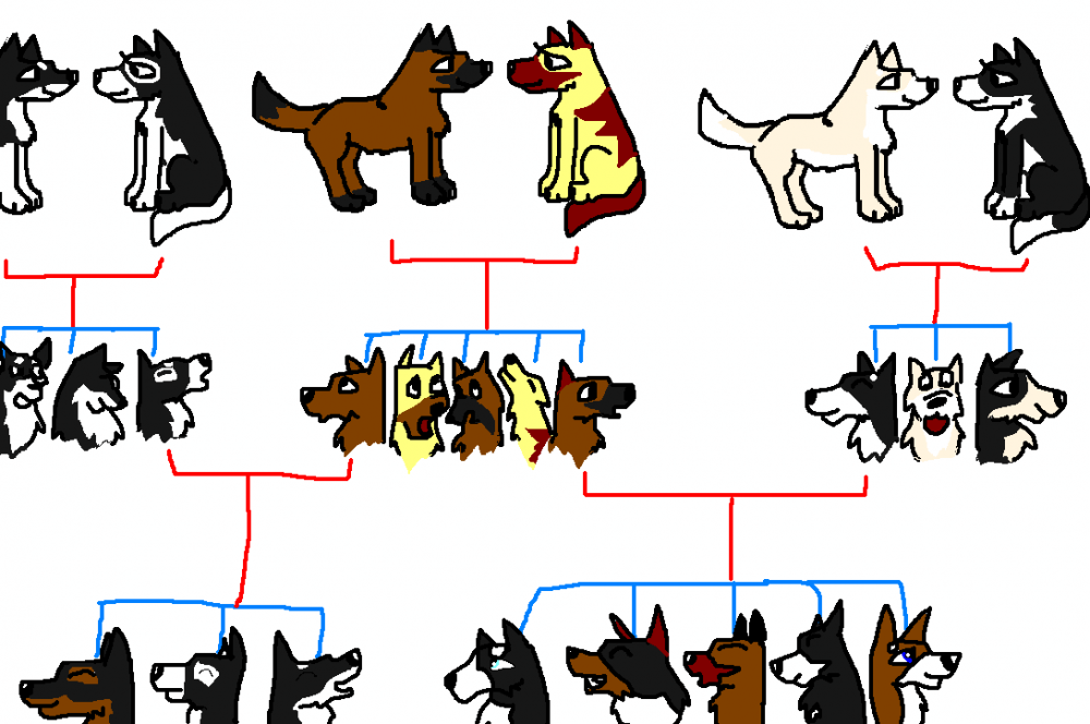 Family tree