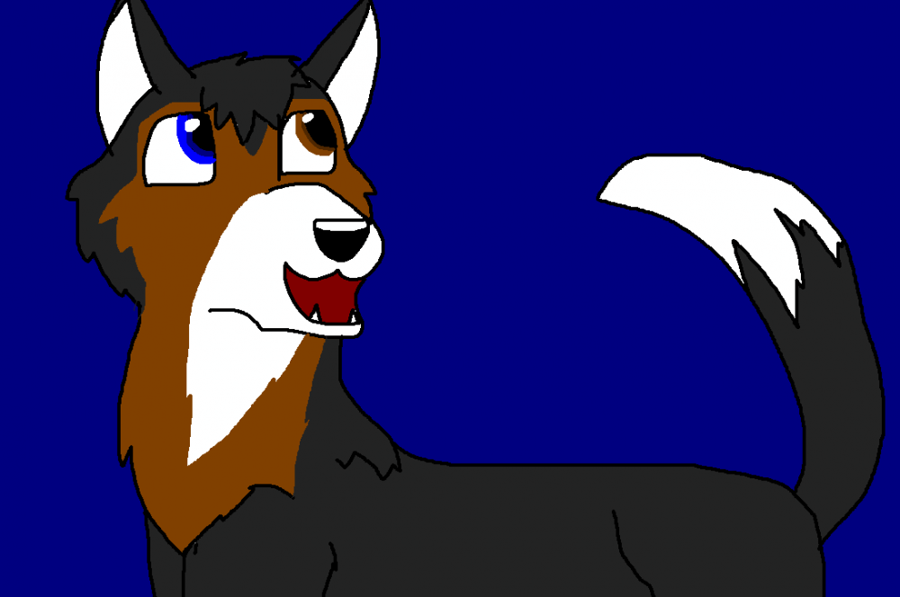 New Char