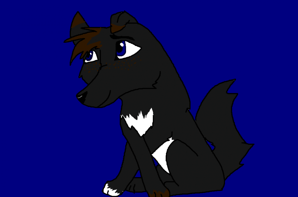 NEW FURZONA