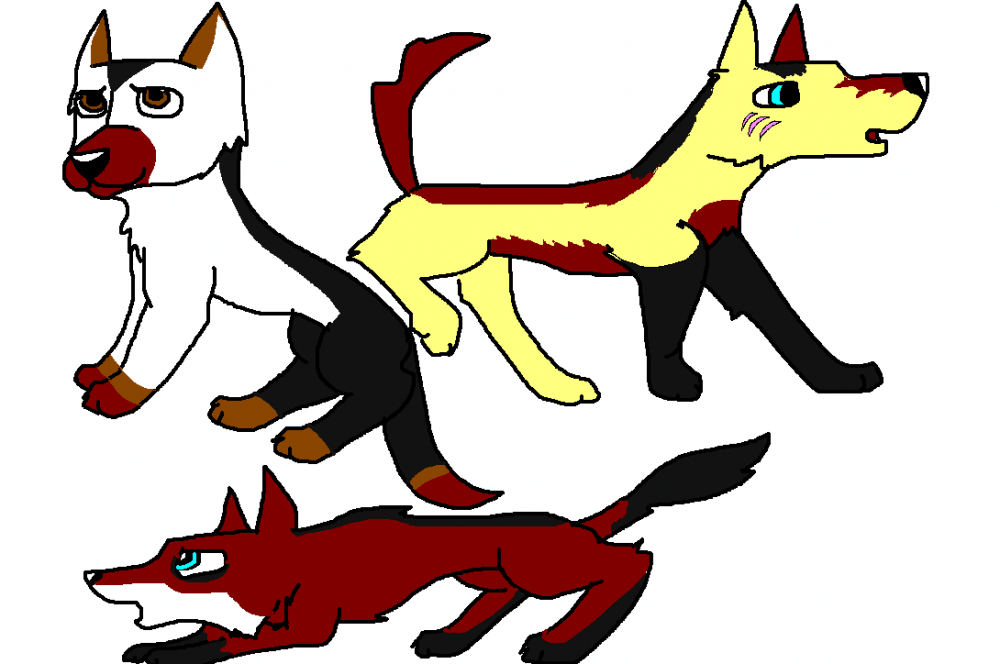 My three