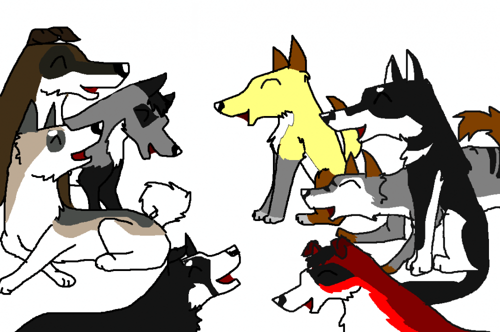 The team