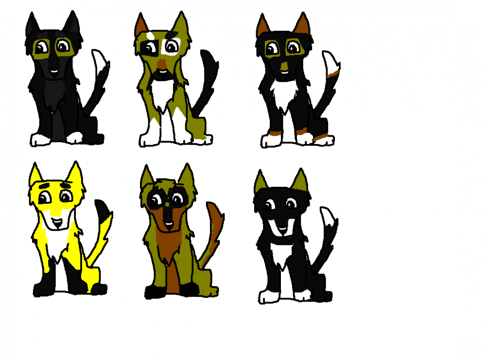 3rd litter
