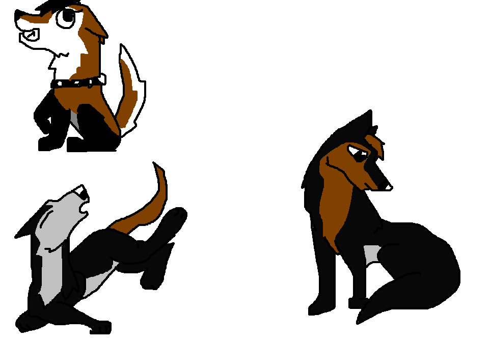 John and Rose's pups