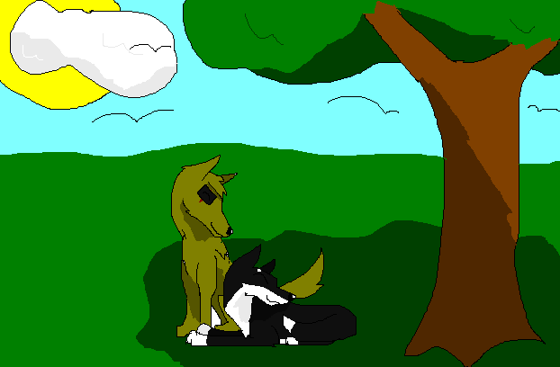 Zasha and Shade