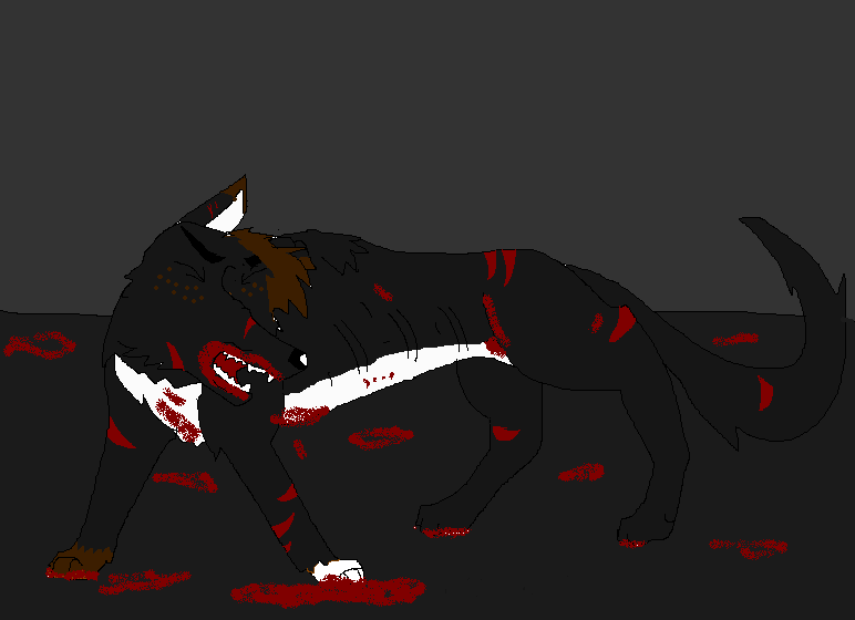 blood
