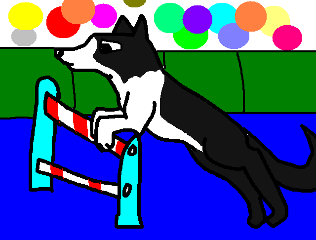 Show dog