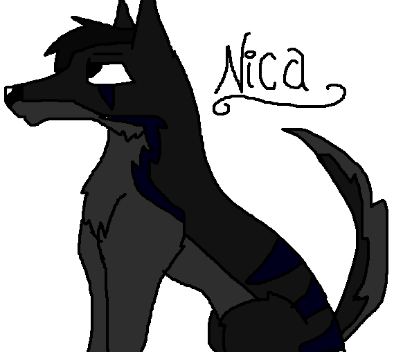 Nica-New Char